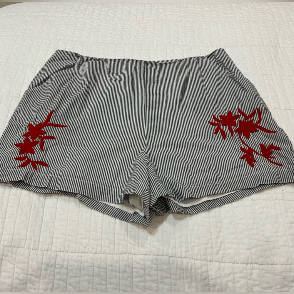Francesca’s Stripe Zipper Shorts